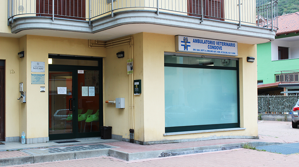Ambulatorio Veterinario Molino Condove