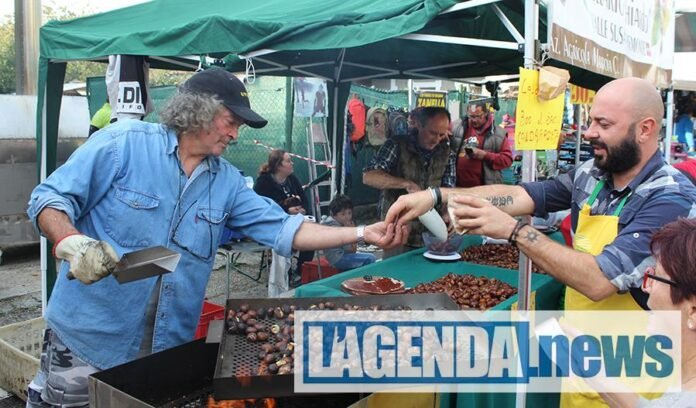 Villar Focchiardo, la Sagra del Marrone