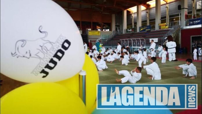 giaveno judo