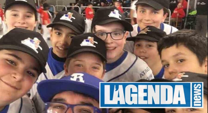 Avigliana Baseball