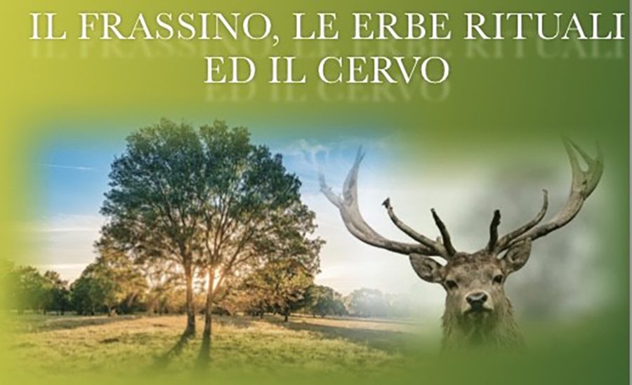 Vivaio Gulli Almese