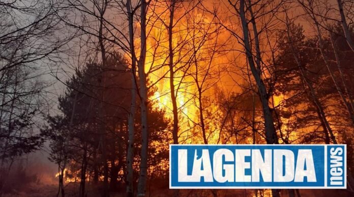 Incendio