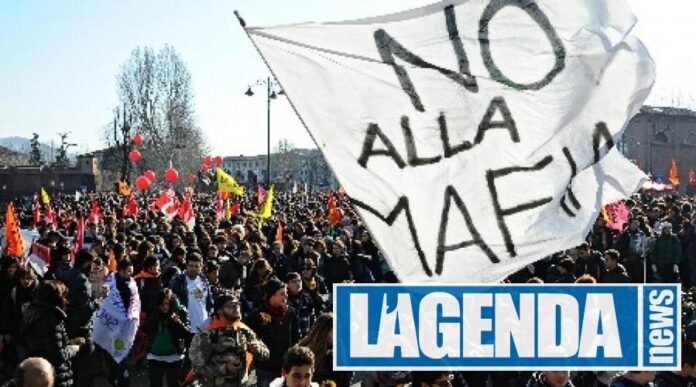 no mafia