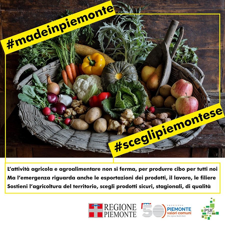 Regione Piemonte