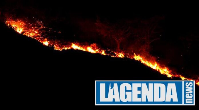 Incendio bosco