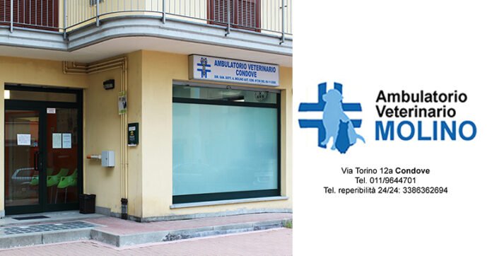 Ambulatorio Veterinario Molino