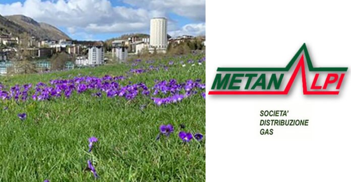 Metan Alpi