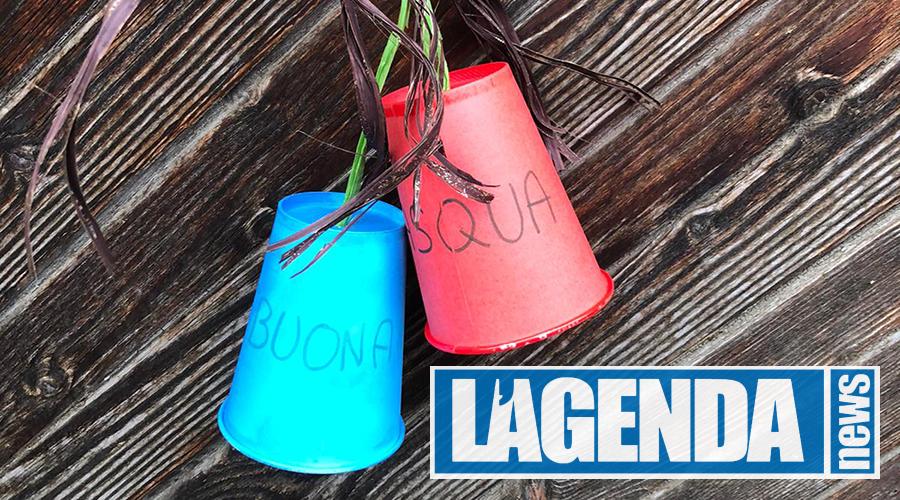 Sauze d'Oulx Jouvenceaux