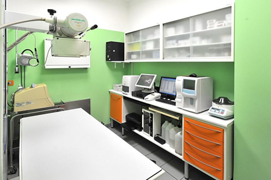 Ambulatorio Veterinario Molino