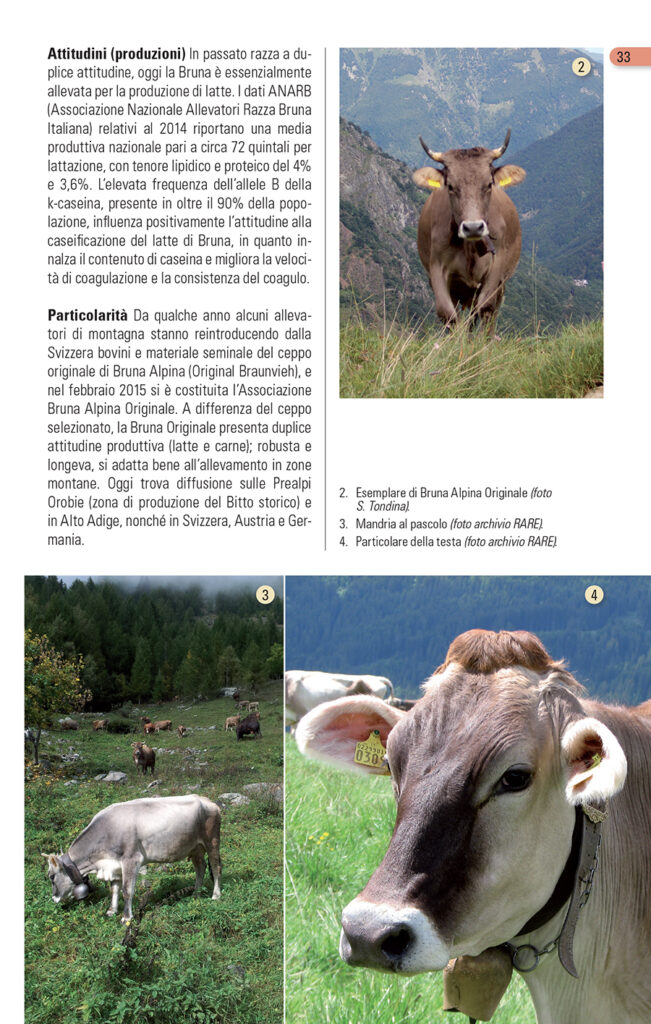Gli Animali domestici delle Alpi, Blu Edizioni