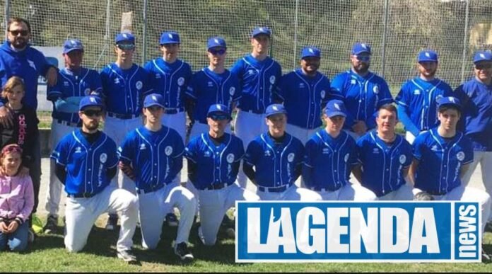 Avigliana Baseball