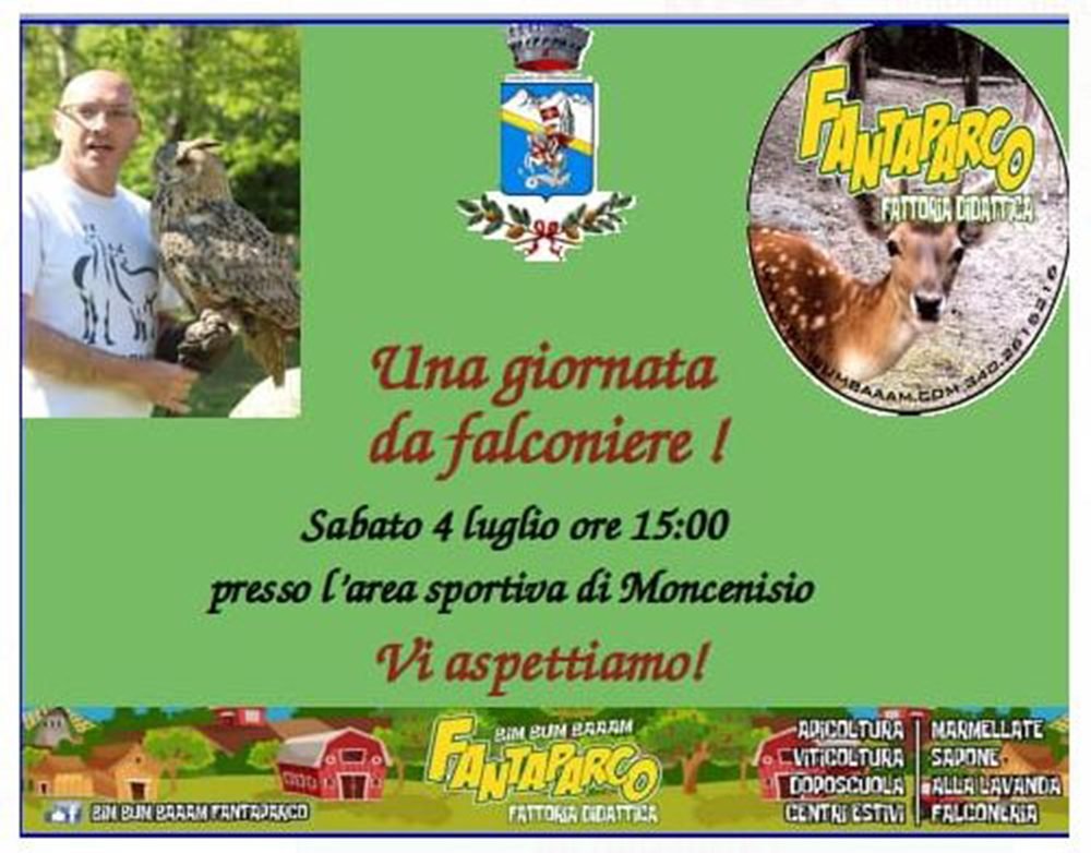 moncenisio falco