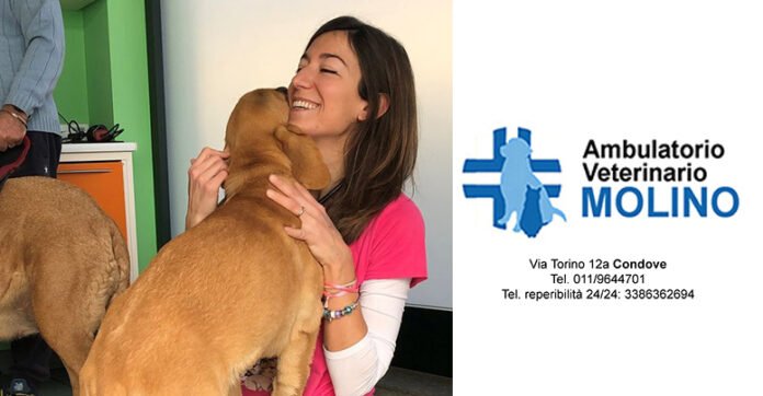 Ambulatorio Veterinario Molino