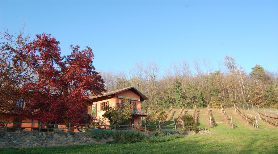 Azienda Vitivinicola Rhea Reano
