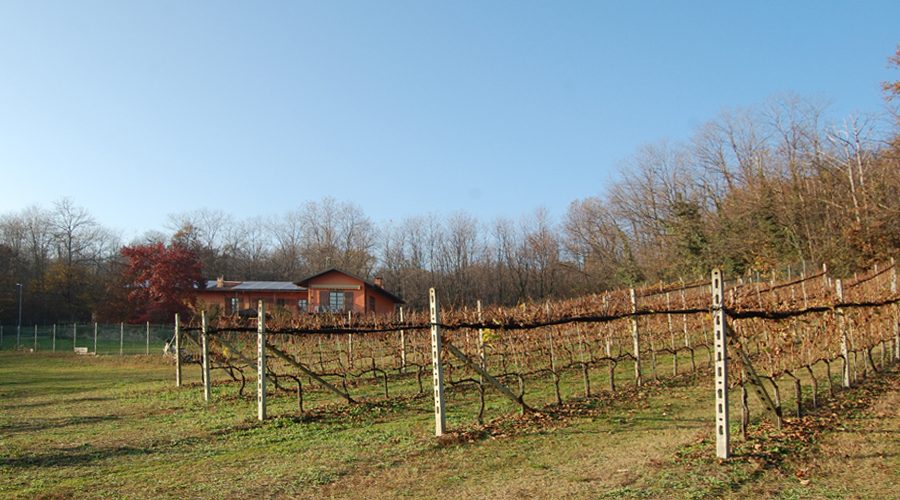 Azienda Vitivinicola Rhea Reano