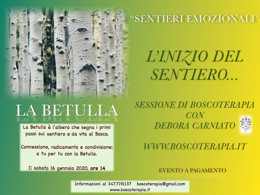 Vivaio Gulli Carniato