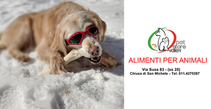 Pet Store Valley animali