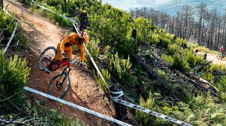 Simone Pelissero Red Bike