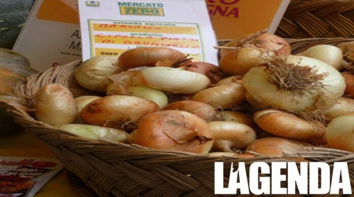 Cipolla di Drubiaglio
