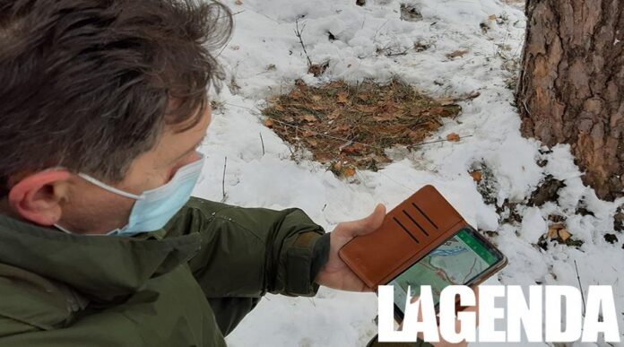 Parchi Alpi Cozie Lupo
