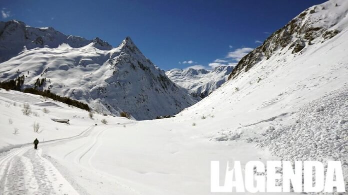 Valanga neve
