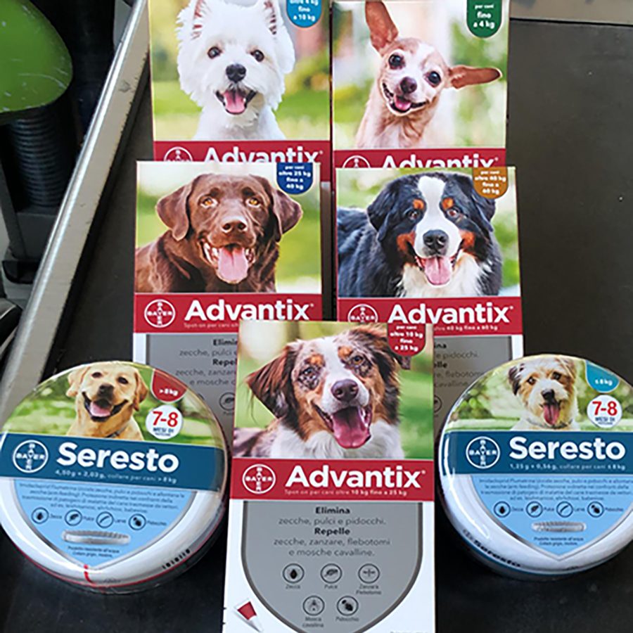 Pet Store Valley