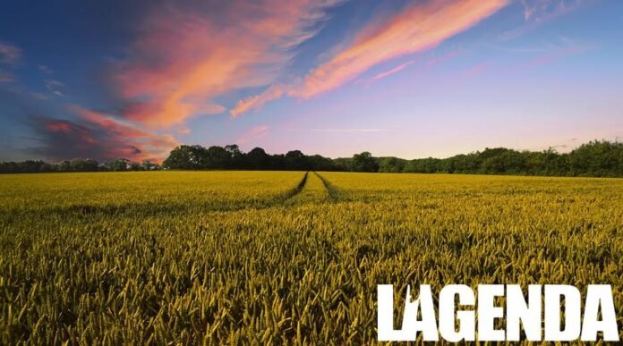 Agricoltura
