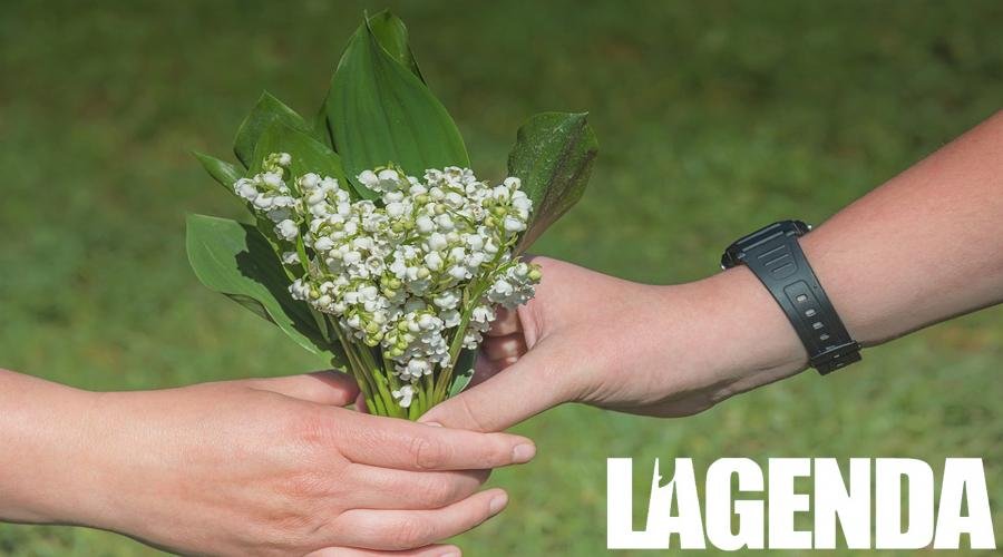 Il mughetto: fiore simbolo del primo maggio • L'AGENDA NEWS