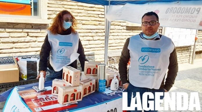 susa fondazione