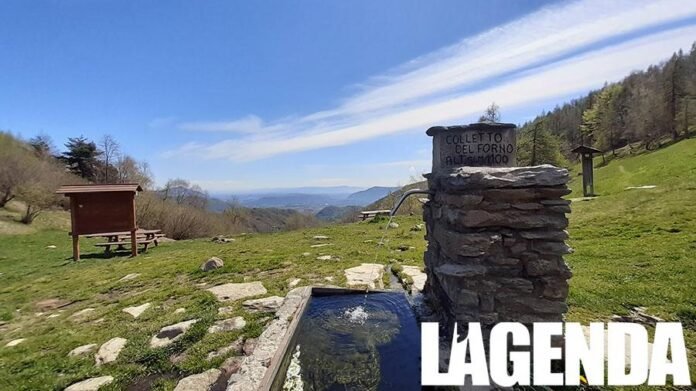 Valsangone Colletto del Forno montagna