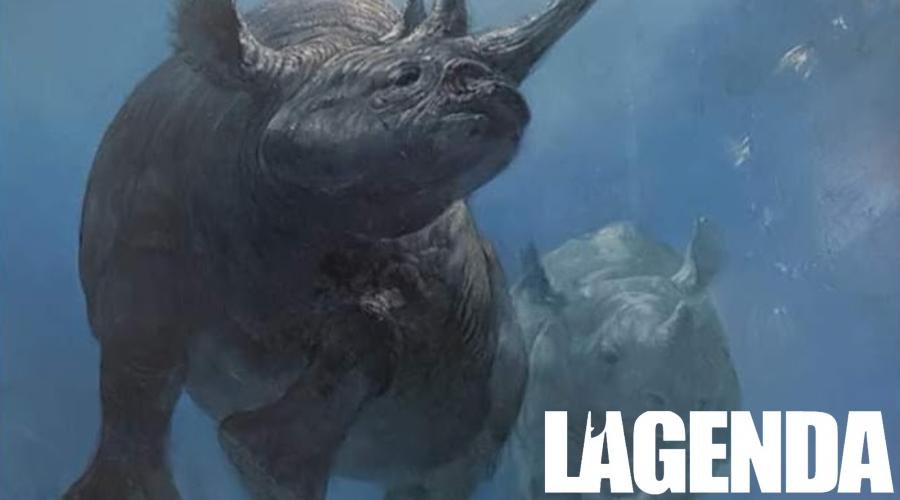 Foto mostra Surfanta 