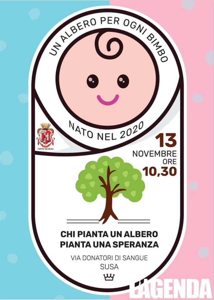 albero