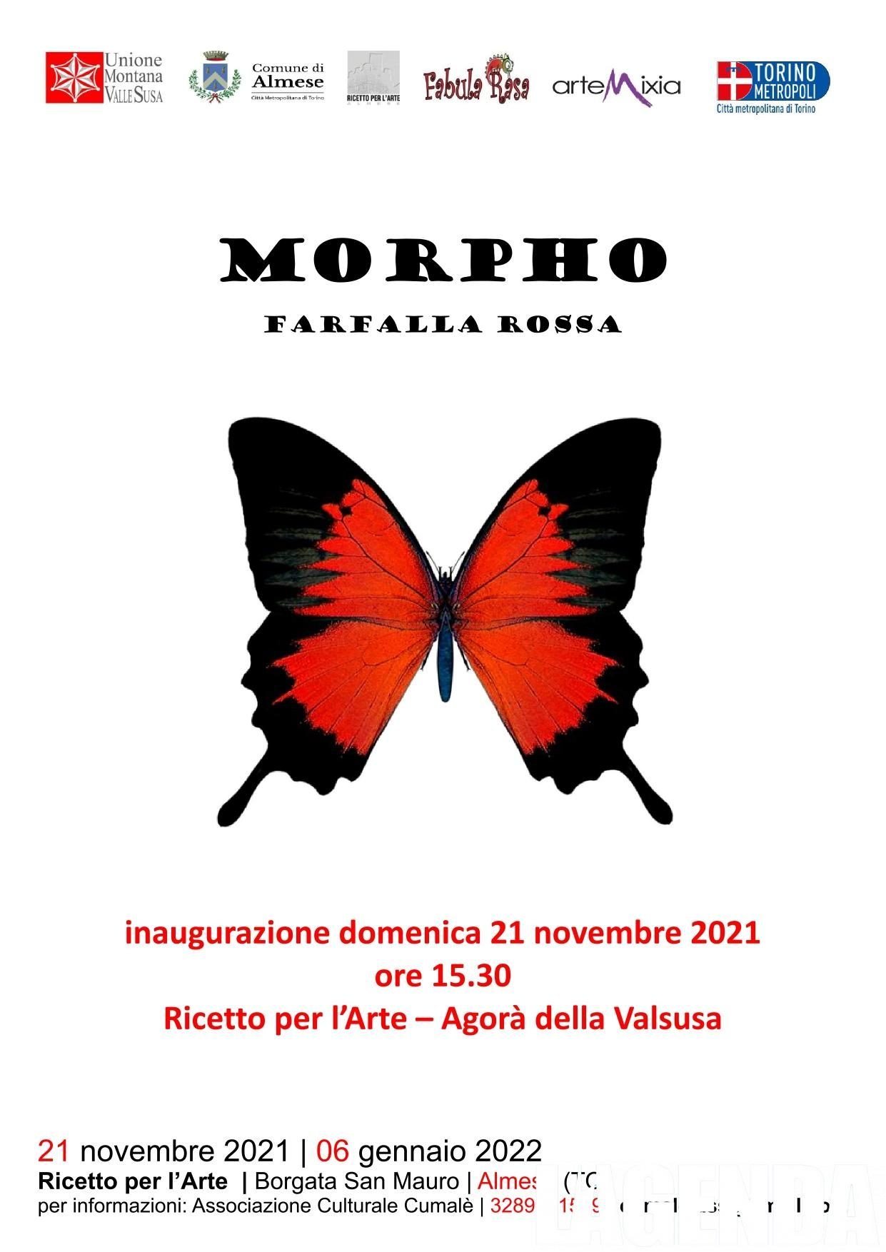 locandina morpho