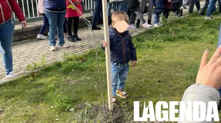 susa albero