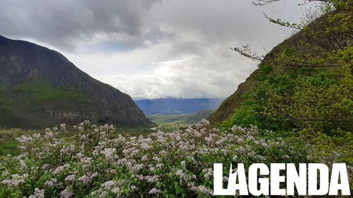 Abbazia Novalesa Valsusa