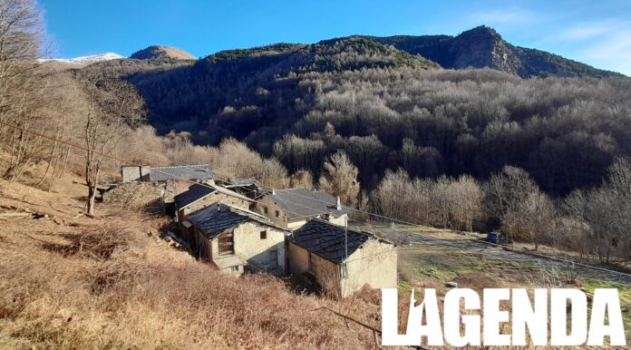 Condove Volpi