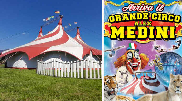 circo