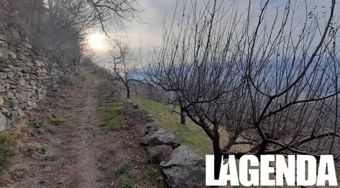 Sentiero in montagna