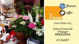 la Primula Flowers & Coffee di Avigliana
