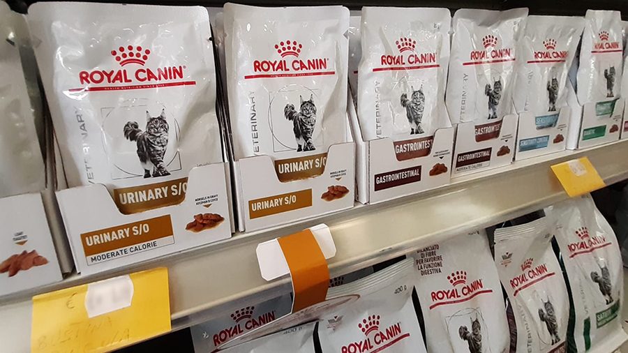 Pet Store Valley