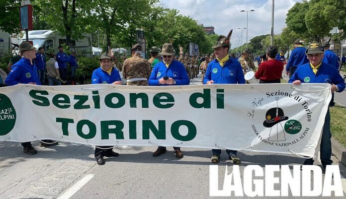 Alpini
