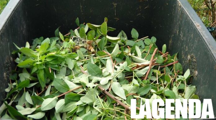 compostaggio