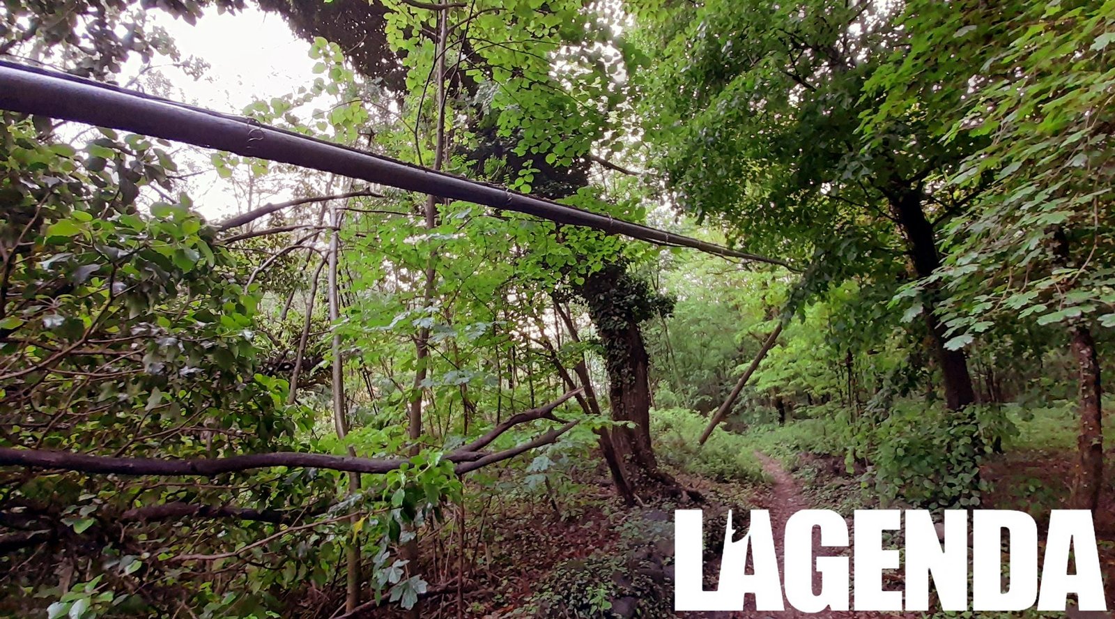 condove palo telefonico