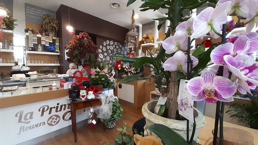 la Primula Flowers & Coffee di Avigliana