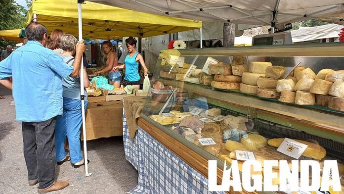 Mercato Susa