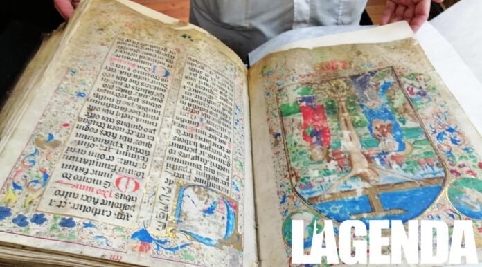 libro novalesa