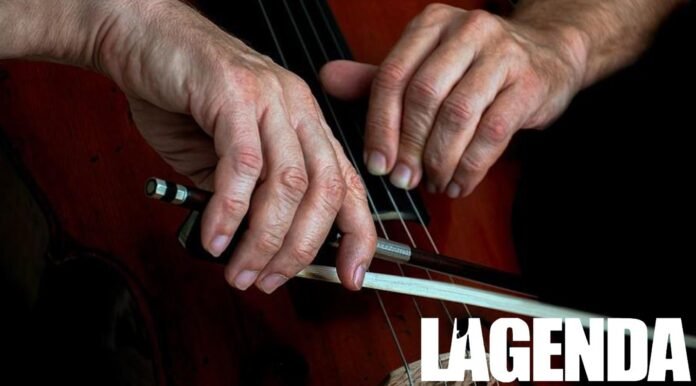 violoncello