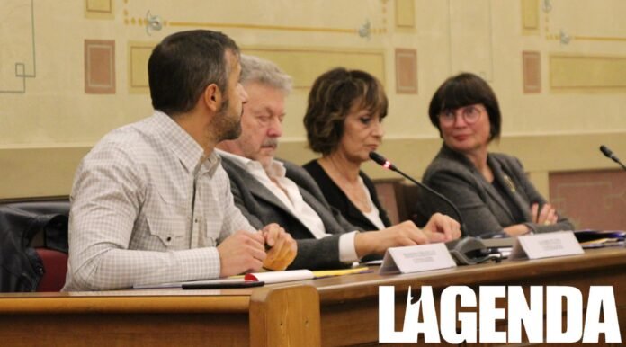 consiglio susa