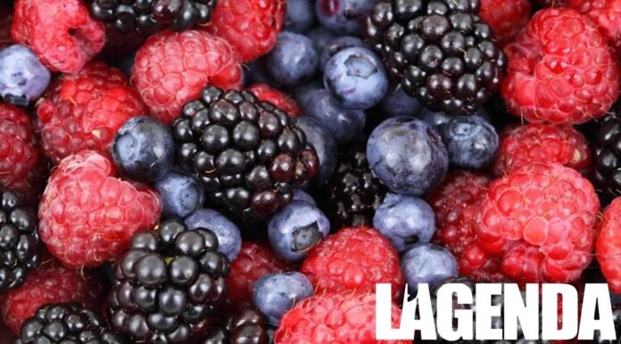 frutta