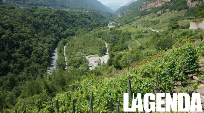 vigne maddalena